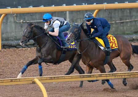 　ルメールを背に栗東ＣＷで追い切るエネルジコ（左）＝撮影・石湯恒介