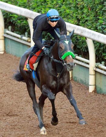 　新コンビの武豊を背に力強い動きを見せたエリカエクスプレス（撮影・石湯恒介）