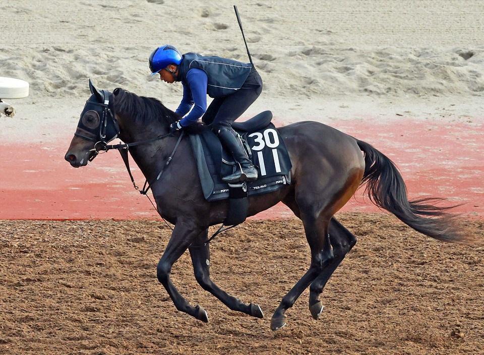 　アスクエジンバラ