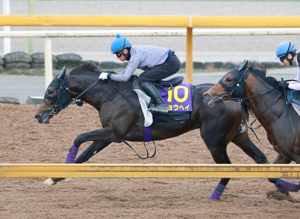 　新コンビを組む岩田望を背に抜群の脚さばきを見せたショウヘイ
