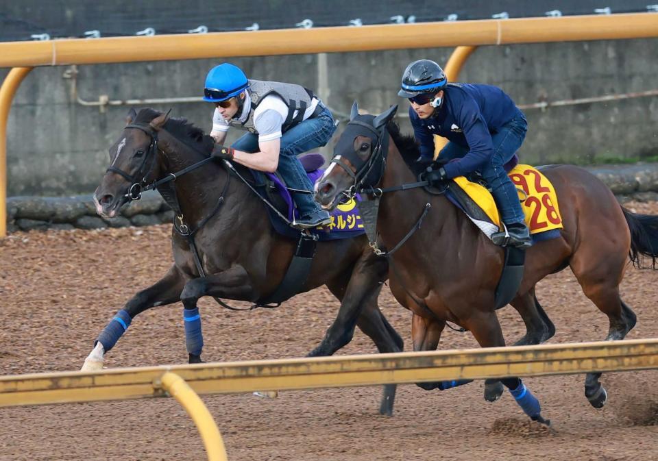 　ルメールを背に栗東ＣＷで追い切るエネルジコ（左）＝撮影・石湯恒介