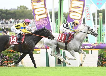 　富士Ｓを制したガイアフォース（右）＝撮影・園田高夫