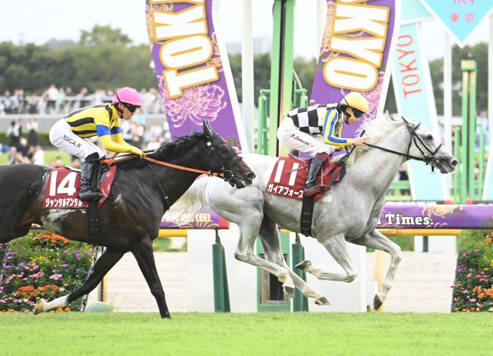 　富士Ｓを制したガイアフォース（右）＝撮影・園田高夫