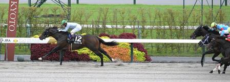 　京都１０Ｒを制したグランフォーブル（撮影・金居みつよし）