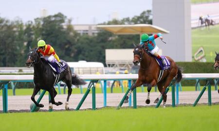 　逃げたエリカエクスプレス（左）を捉えにかかるエンブロイダリー（撮影・石湯恒介）