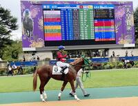 　堀江貴文氏所有馬イッテラッシャイのパドック