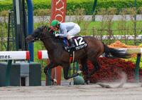 　１０Ｒを制したグランフォーブル（撮影・石湯恒介）