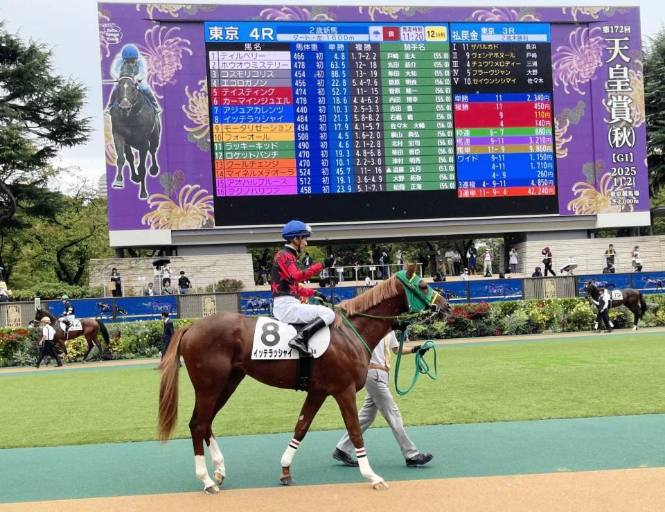 　堀江貴文氏所有馬イッテラッシャイのパドック