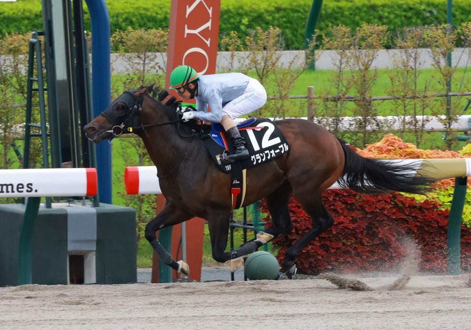 　１０Ｒを制したグランフォーブル（撮影・石湯恒介）