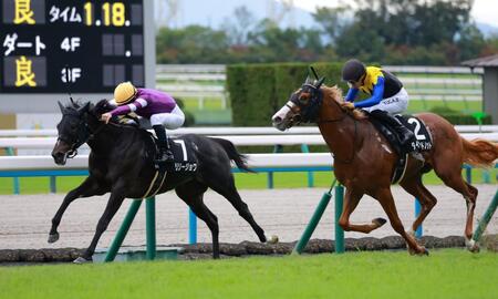 【もみじS】リリージョワ 半馬身差振り切り勝利 ルメール「もう少し落ち着いてほしい」