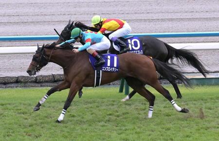　ゴール前で武豊騎乗のエリカエクスプレスをかわすエンブロイダリー（手前）＝撮影・金居みつよし