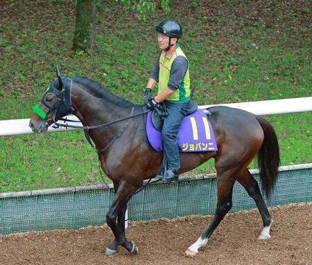 【菊花賞】ジョバンニ　菊花賞で咲かせる大輪！皐月賞４着、ダービー８着のクラシック皆勤“優等生”　三度目の正直だ