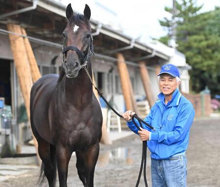 【菊花賞】国枝栄師　アマキヒで「勝つことができれば最高」　縁深い３冠牝馬アパパネの子×金子オーナーで挑むラストクラシック