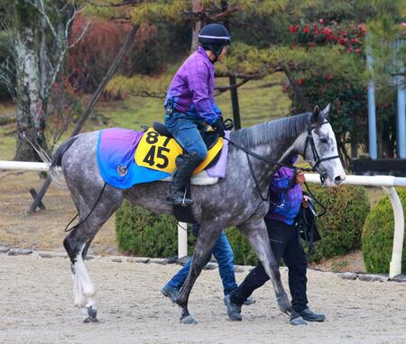 　ゴールデンスナップ