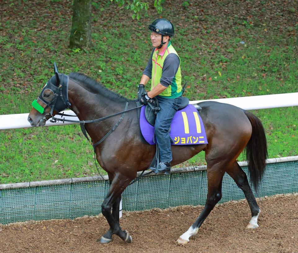 　ラスト１冠でタイトル奪取を狙うジョバンニ（撮影・石湯恒介）