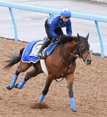 　指揮官も納得の動きを披露したホウオウビスケッツ（撮影・持木克友）