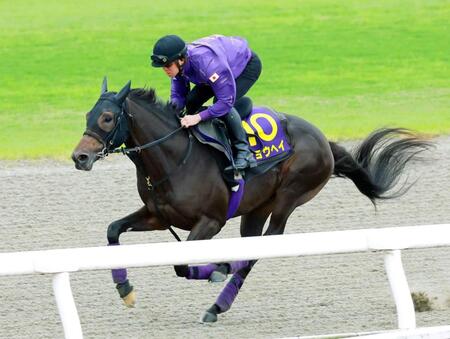 【菊花賞】ショウヘイ　キレ抜群　ラスト１Ｆ１１秒２　岩田望好感触「イメージ通り」　京都の舞台も歓迎