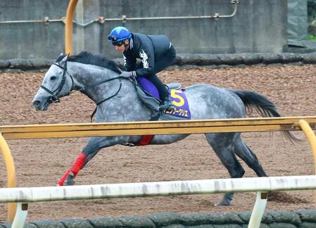 　栗東ＣＷで追い切るヤマニンブークリエ