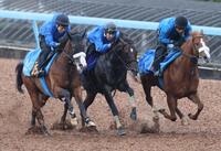 　ウッドチップコースでチャーリー（左）、レイニング（右）と併せて追われるアマキヒ（中央）