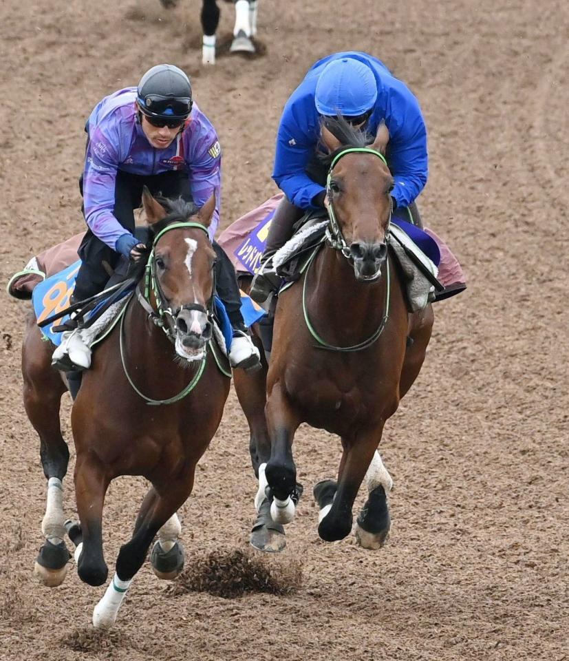 　美浦Ｗで２頭併せで追い切るレッドバンデ（右）＝撮影・持木克友