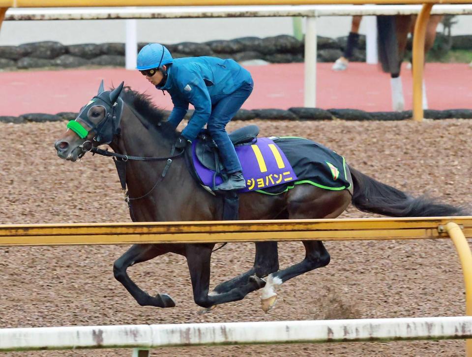 　栗東ＣＷで追い切るジョバンニ