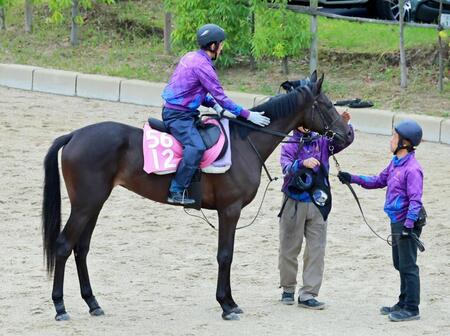 　熱心に乗り込まれたスウィーティーベル
