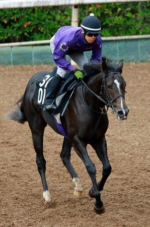 【新馬戦】エムズビギン 取引価格5億9000万円の超高額馬 友道師も仕上がりに自信「乗り込んでしっかりしてきた」