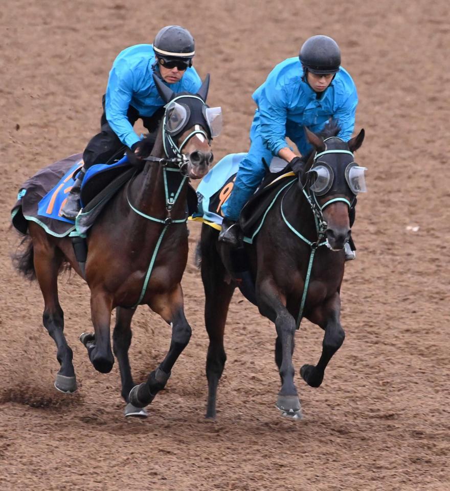 　デビュー戦Ｖを目指すウップヘリーア（右）