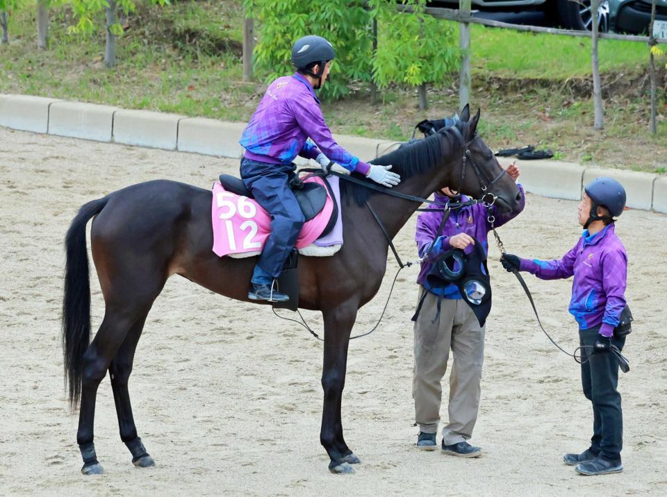 　熱心に乗り込まれたスウィーティーベル