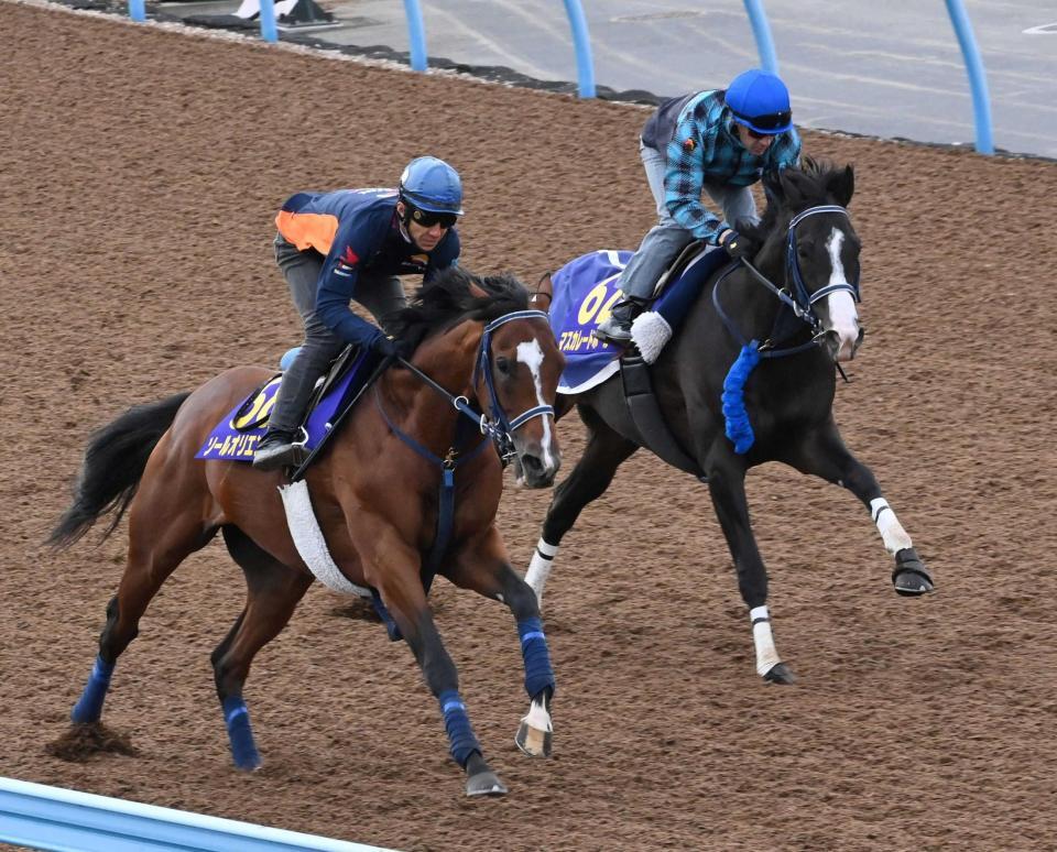 　新コンビのルメールを背に力強い走りを見せたマスカレードボール（右）＝撮影・持木克友