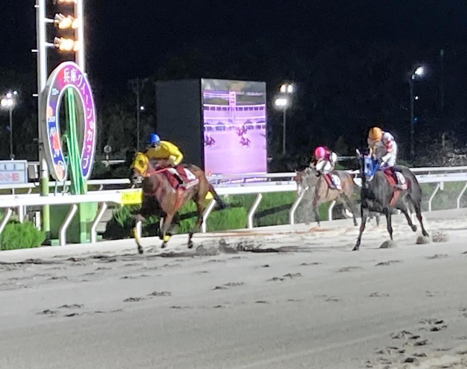 　園田での重賞連勝を果たしたコパノエミリア（左）＝撮影・中山伸治