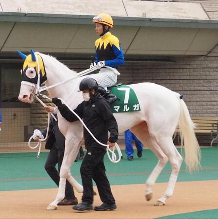 　アルテミスＳに出走したマルガと武豊