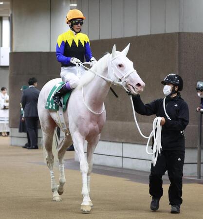 　５着に敗れたマルガ