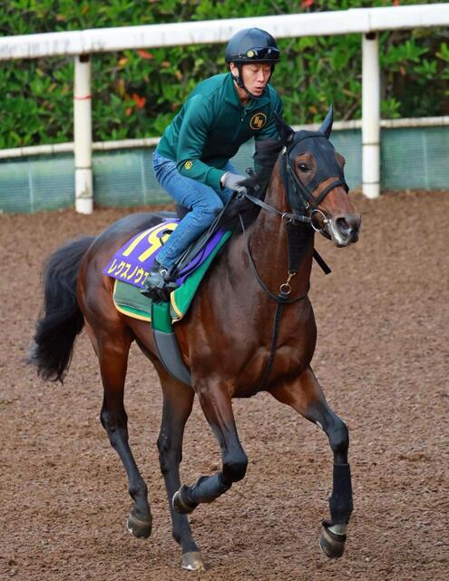 菊花賞】馬場状態から浮上するのはこの馬だ