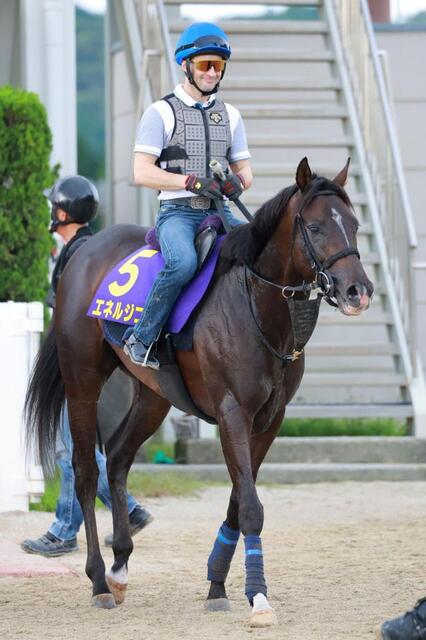 菊花賞】展開から浮上するのはこの馬だ