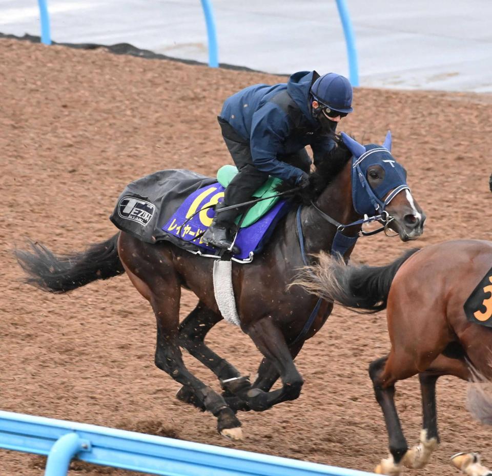 　嶋田を背に調教されるレイヤードレッド