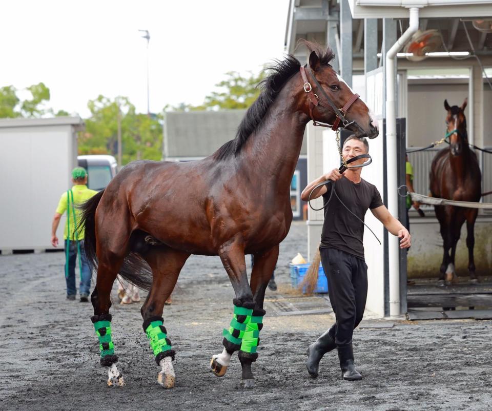 　ゲルチュタール