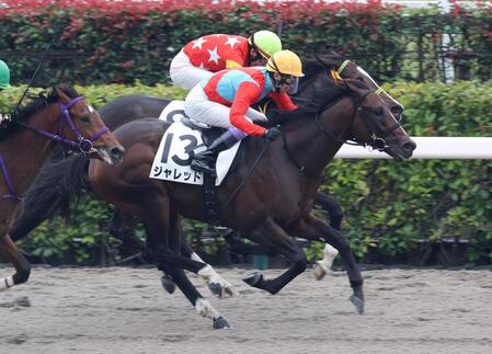 　マカイゾウと競り合うジャレッド（手前）