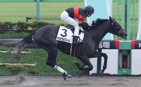 【新馬戦】ホウオウルクソール 4馬身差の楽勝 横山和「センスのいい走りをしてくれました」