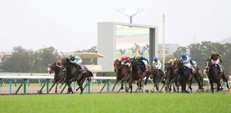 　１１Ｒ、菊花賞を制したエネルジコ（左から２頭目）＝撮影・中田匡峻