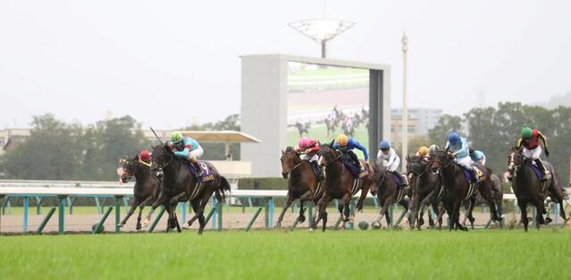 エネルジコ　セントポーリア賞　現地的中単勝馬券　菊花賞制覇 菊花賞】エネルジコは追い切り後もダメージなく順調 陣営「いい状態で