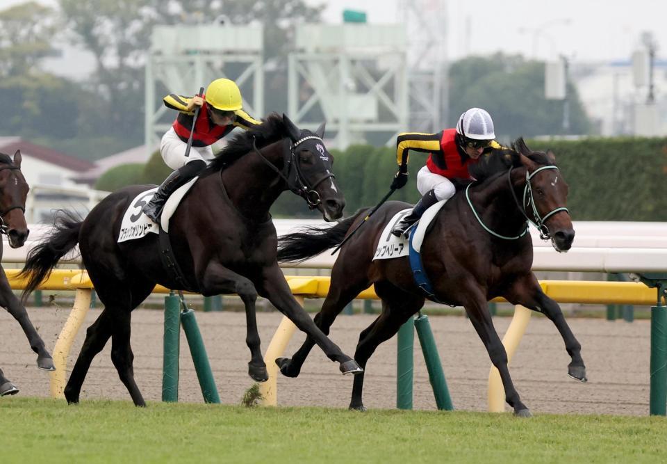 　ブラックオリンピアと競り合うウップヘリーア（右）