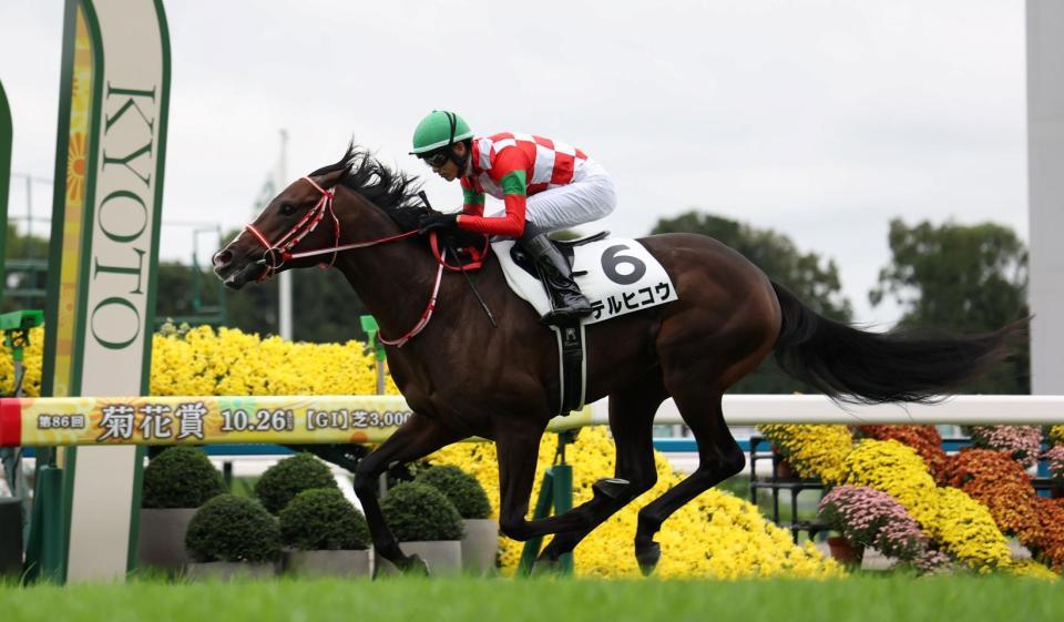 　デビュー戦Ｖを飾ったテルヒコウ（撮影・中田匡峻）