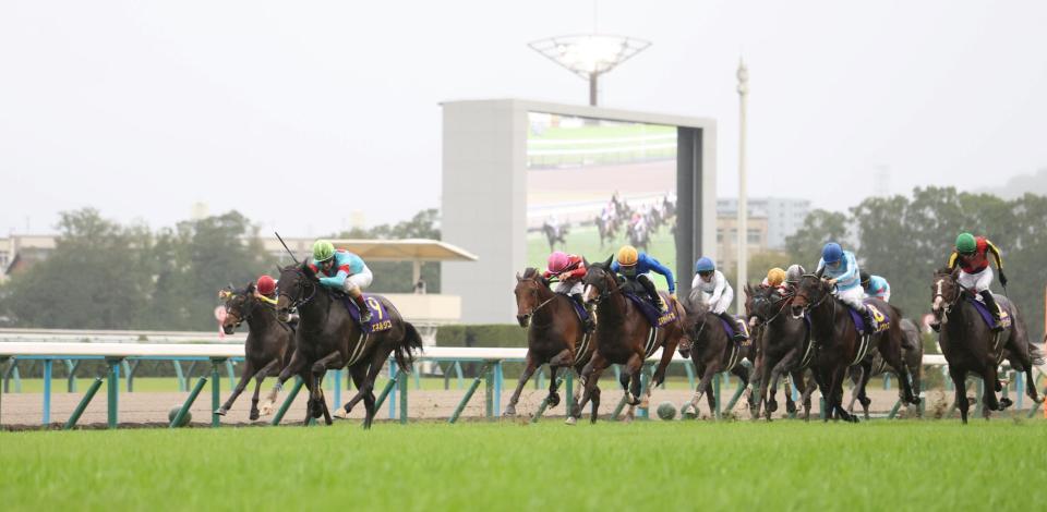 　１１Ｒ、菊花賞を制したエネルジコ（左から２頭目）＝撮影・中田匡峻