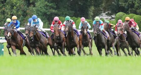 　４コーナーで好位置につけるエネルジコとルメール（右から４頭目）＝撮影・坂部計介