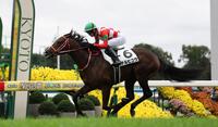 　デビュー戦Ｖを飾ったテルヒコウ（撮影・中田匡峻）
