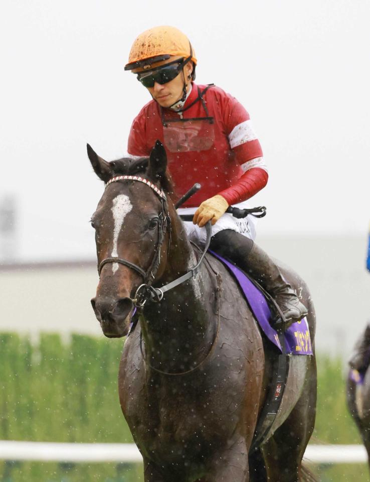 　２着に敗れたエリキング