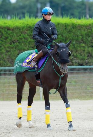 　大仕事の予感漂うセイウンハーデス