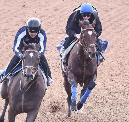 　レーンとのコンビでＧ１連勝を目指すタスティエーラ（右）＝撮影・園田高夫