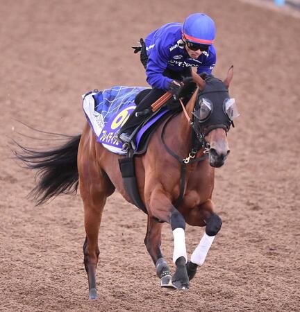　戸崎圭太騎手を背に美浦Ｗ単走で追い切ったブレイディヴェーグ（撮影・園田高夫）